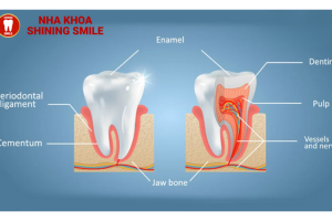 Trồng Răng Có Cần Lấy Tủy Không? Tìm Hiểu Ngay Để Biết Rõ!